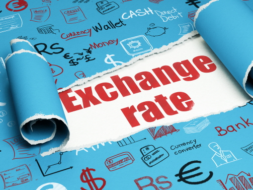 파란색 종이가 중간에 뜯어져 있고 그 사이로 빨간색으로 'EXCHANGE RATE'라고 쓰여 있다.