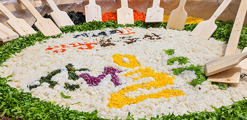 대형 비빔밥 만들기 행사 전경. 흰쌀밥 위에 다양한 색깔의 고명과 대형 나무 주걱들이 배치된 모습