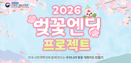 2026 전국 벚꽃 개화 지도, 지역별 명소 & 축제 일정 총정리