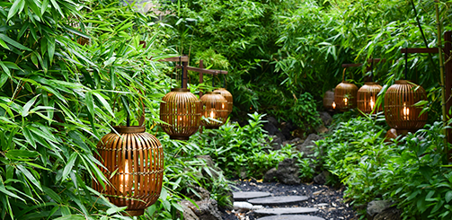 K디저트 인기 비결은? 헬시 플레저 트렌드, K카페로 떠나는 데일리케이션