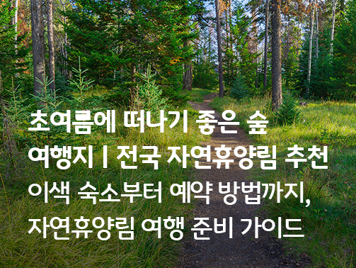 초여름에 떠나기 좋은 숲 여행지, 전국 자연휴양림 추천. 이색 숙소부터 예약 방법까지 자연휴양림 여행 준비 가이드 텍스트가 적힌 울창한 숲속 오솔길 이미지
