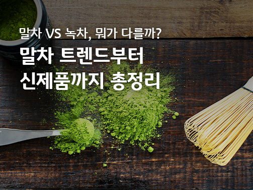 말차 녹차 차이, 말차 트렌드와 신제품 관련 콘텐츠의 메인 이미지다.