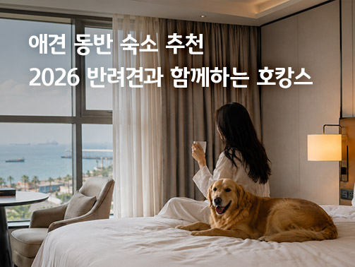 애견 동반 숙소 추천, 2026 반려견과 함께하는 호캉스. 바다가 보이는 호텔 객실 침대 위에서 대형견과 함께 휴식을 취하는 여성의 모습