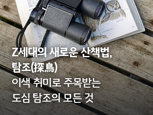조류 도감과 쌍안경 이미지 - Z세대의 새로운 산책법, 탐조 및 도심 탐조 취미 소개