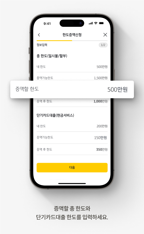 증액할 총 한도와 단기카드대출 한도를 입력하세요.