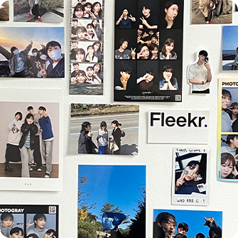  플리커 사진관에서 찍은 다양한 사진들의 모음을 나타낸 이미지이다.